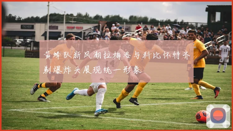 黄蜂队新风潮拉梅洛与科比怀特齐剃爆炸头展现统一形象