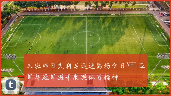 文班昨日失利后迅速离场今日NHL亚军与冠军握手展现体育精神