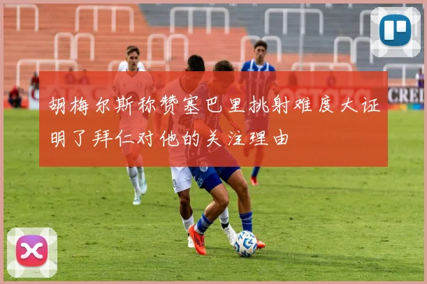 胡梅尔斯称赞塞巴里挑射难度大证明了拜仁对他的关注理由