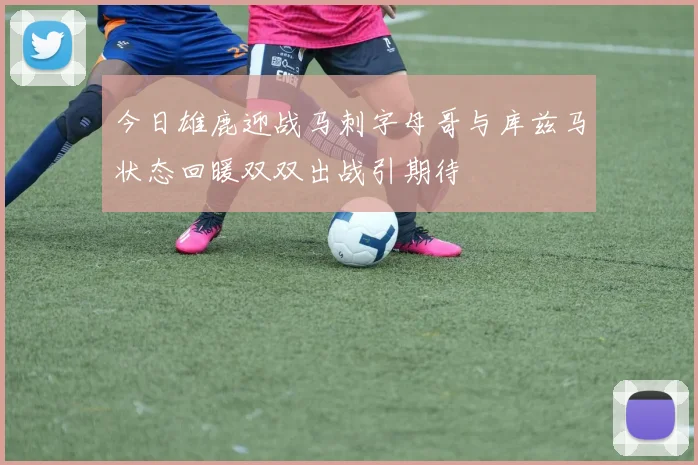 今日雄鹿迎战马刺字母哥与库兹马状态回暖双双出战引期待